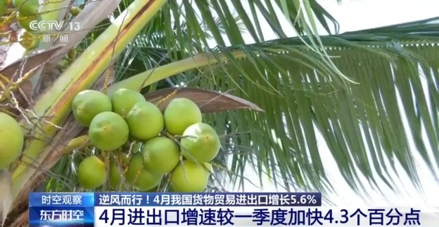 国外贸进出口表现亮眼背后的底气麻将胡了电